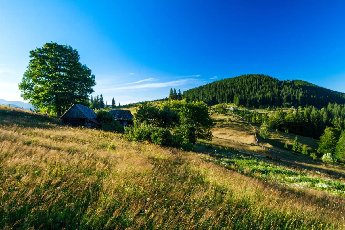 Zadbaj o zdrowie: Kluczowe kroki do lepszego samopoczucia