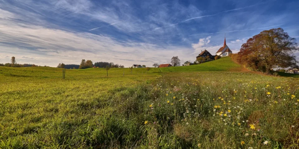 Mindfulness i medytacja dla zapracowanych nauczycieli