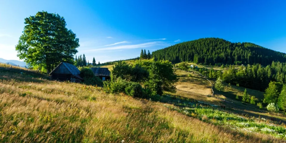 Zadbaj o zdrowie: Kluczowe kroki do lepszego samopoczucia